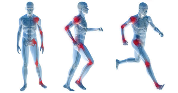 mitos sobre o corpo humano articulações