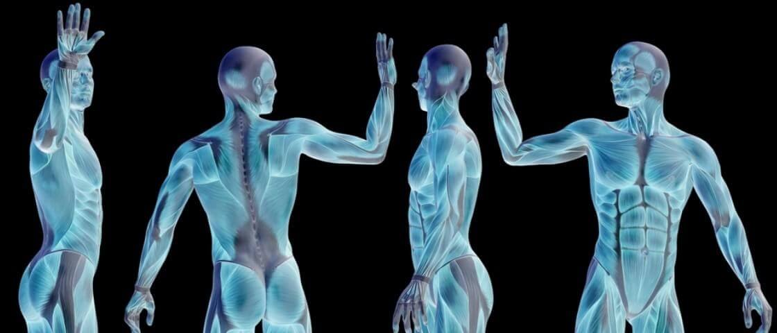 10 mitos detonados sobre o corpo humano