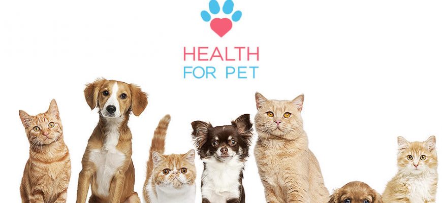 Health For Pet - Conheça Planos e veja Tabelas de Preços