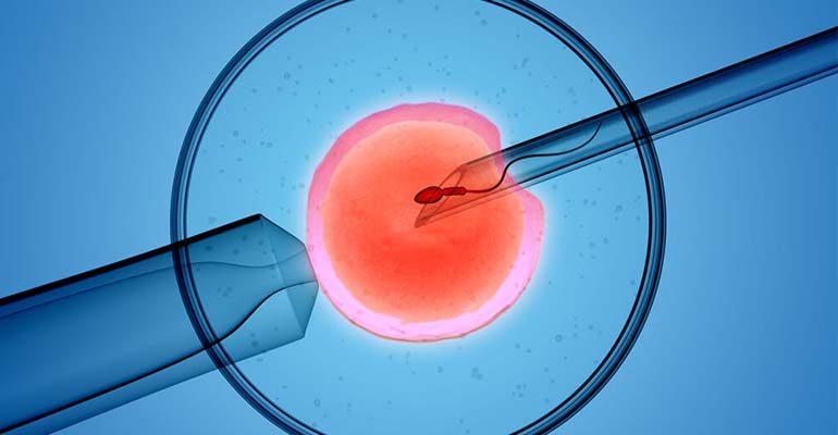 plano de saúde unimed cobre fertilização in vitro 2